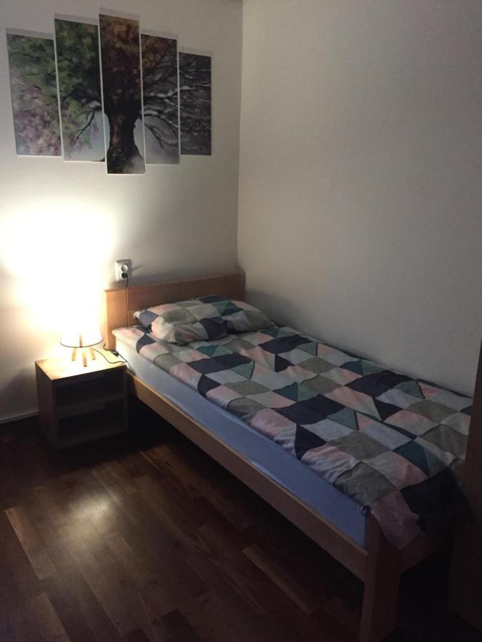 Apartment Perkovic *